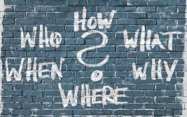 curiosity customer experience