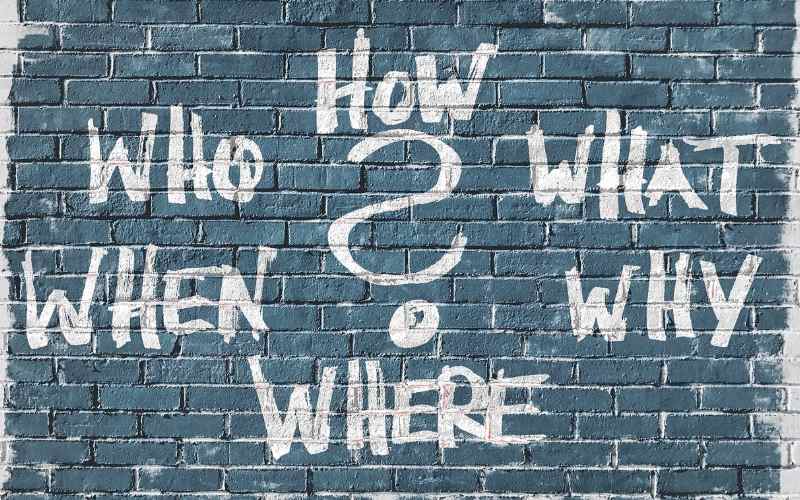 curiosity customer experience